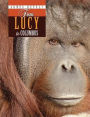 From Lucy to Columbus