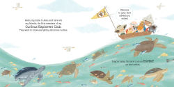 Alternative view 2 of But Where Do Sea Turtles Live?