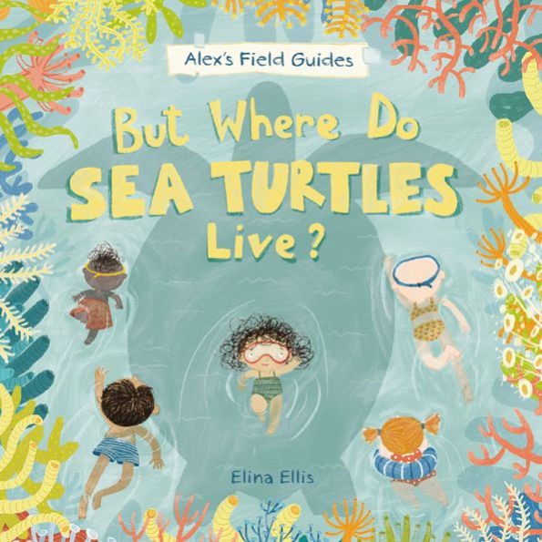 But Where Do Sea Turtles Live?