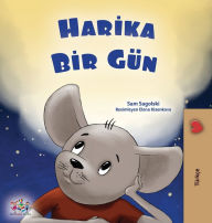 Title: A Wonderful Day (Turkish Book for Children), Author: Sam Sagolski