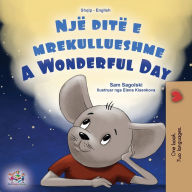 Title: A Wonderful Day (Albanian English Bilingual Book for Kids), Author: Sam Sagolski