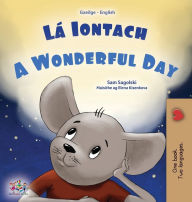 Title: A Wonderful Day (Irish English Bilingual Book for Kids), Author: Sam Sagolski