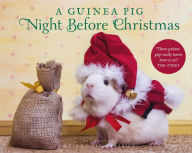 Title: A Guinea Pig Night Before Christmas, Author: Clement Clarke Moore