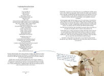 Alternative view 7 of Is This A Cookbook?: Adventures in the Kitchen