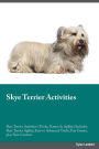 Skye Terrier Activities Skye Terrier Activities (Tricks, Games & Agility) Includes: Skye Terrier Agility, Easy to Advanced Tricks, Fun Games, plus New Content