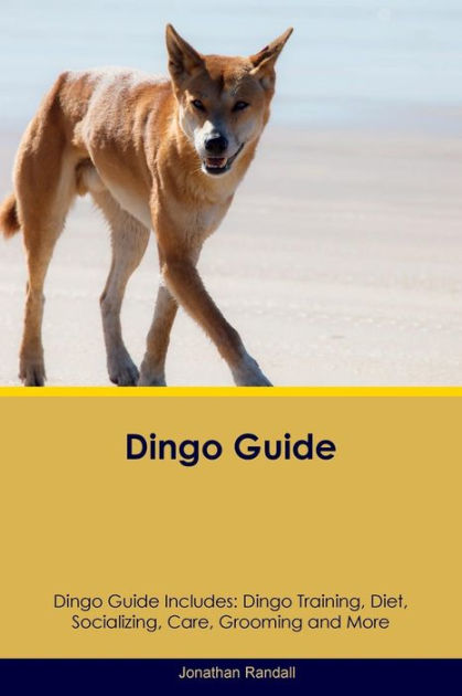 Dingo deals firefox