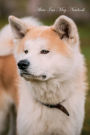 Akita Inu May Notebook Akita Inu Record, Log, Diary, Special Memories, To Do List, Academic Notepad, Scrapbook & More