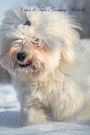 Coton de Tulear January Notebook Coton de Tulear Record, Log, Diary, Special Memories, To Do List, Academic Notepad, Scrapbook & More