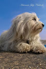 Havanese July Notebook Havanese Record, Log, Diary, Special Memories, To Do List, Academic Notepad, Scrapbook & More
