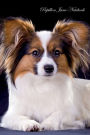 Papillon June Notebook Papillon Record, Log, Diary, Special Memories, To Do List, Academic Notepad, Scrapbook & More