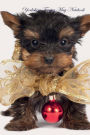 Yorkshire Terrier May Notebook Yorkshire Terrier Record, Log, Diary, Special Memories, To Do List, Academic Notepad, Scrapbook & More