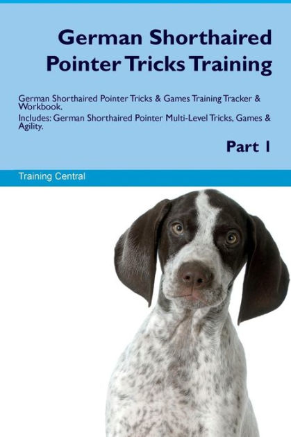 German Shorthaired Pointer Tricks Training German Shorthaired
