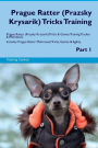 Prague Ratter (Prazsky Krysarik) Tricks Training Prague Ratter (Prazsky Krysarik) Tricks & Games Training Tracker & Workbook. Includes: Prague Ratter Multi-Level Tricks, Games & Agility. Part 1