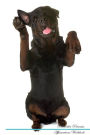Rottweiler Affirmations Workbook Rottweiler Presents: Positive and Loving Affirmations Workbook. Includes: Mentoring Questions, Guidance, Supporting You.