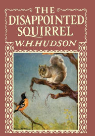 Title: The Disappointed Squirrel - Illustrated by Marguerite Kirmse, Author: W H Hudson