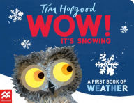 Title: WOW! It's Snowing: A First Book of Weather, Author: Tim Hopgood