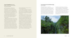 Alternative view 5 of The Queen's Green Canopy: Ancient Woodlands and Trees