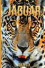 Jaguar: Children Book of Fun Facts & Amazing Photos on Animals in Nature - A Wonderful Jaguar Book for Kids aged 3-7