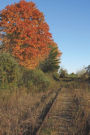 The Autumn Train Tracks in Colorado Journal: 150 page lined notebook/diary