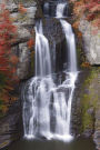The Waterfall Journal: 150 page lined notebook/diary