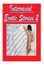 Interracial Erotic Stories 2
