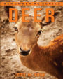 Deer: Amazing Photos & Fun Facts Book About Deer For Kids