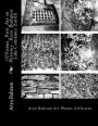 02 Vienna, Paris, Aix en Provence, Rom Budapest, Lake Constance, Zurich: Arya Bahram Art Photos Collection