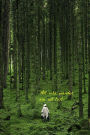 All Who Wander Are Not Lost