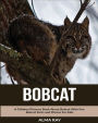 Bobcat: A Children Pictures Book About Bobcat With Fun Bobcat Facts and Photos For Kids