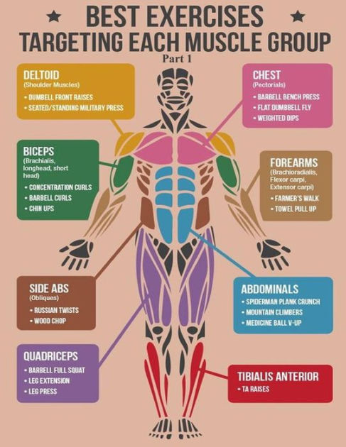 best-exercise-targeting-each-muscle-group-by-sunny-chanday-paperback