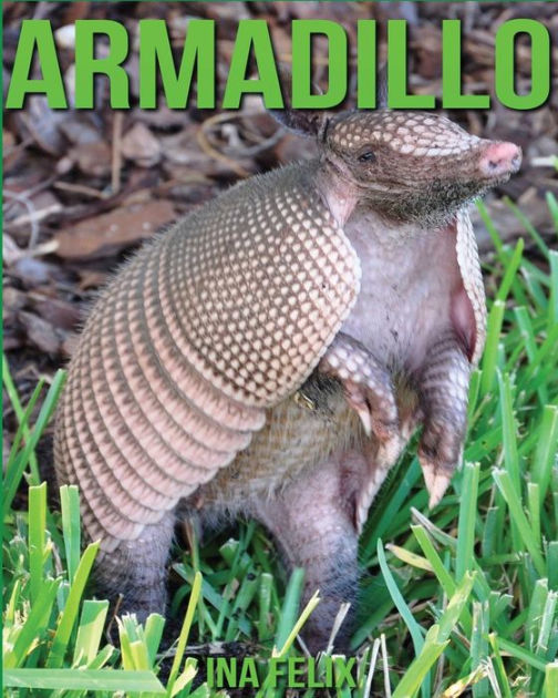 Armadillo Children Book of Fun Facts & Amazing Photos on Animals in