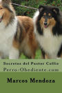 Secretos del Pastor Collie: Perro-Obediente.com
