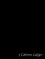 3 Column Ledger