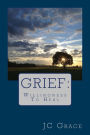 Grief: The Desire To Heal