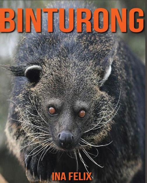 binturong plush