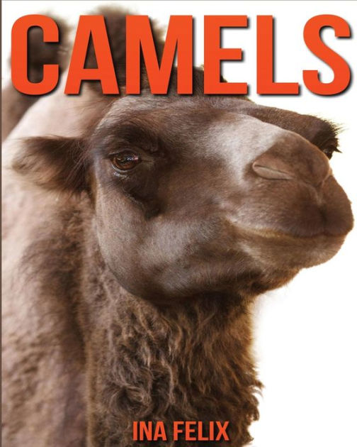 Camels: Children Book of Fun Facts & Amazing Photos on Animals in