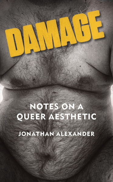 Damage: Notes on a Queer Aesthetic