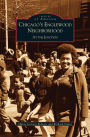 Chicago's Englewood Neighborhood: : At the Junction