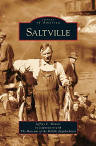 Title: Saltville, Author: Jeffrey C Weaver