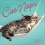 2019 Cat Naps Mini Calendar: by Sellers Publishing