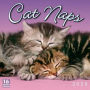 2020 Cat Naps 16-Month Wall Calendar: by Sellers Publishing
