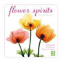 2020 Flower Spirits Radiographs of Nature by Steven N. Meyers 16-Month Wall Calendar: by Sellers Publishing