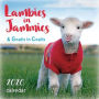 2020 Lambies in Jammies & Goats In Coats Mini Wall Calendar: by Sellers Publishing