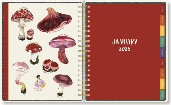2025 High Note Mushrooms by Kelsey Oseid Deluxe Hardcover Planner