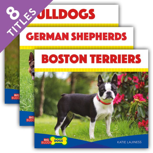 Big Buddy Dogs