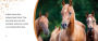 Alternative view 2 of Arabian Horses