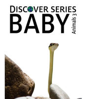 Title: Baby Animals 3, Author: Xist Publishing