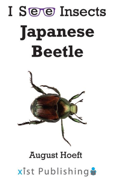 Japanese Beetle