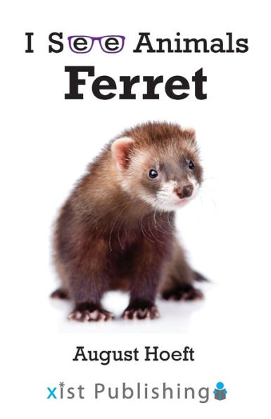 Ferret