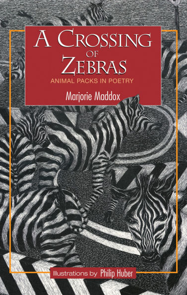 A Crossing of Zebras